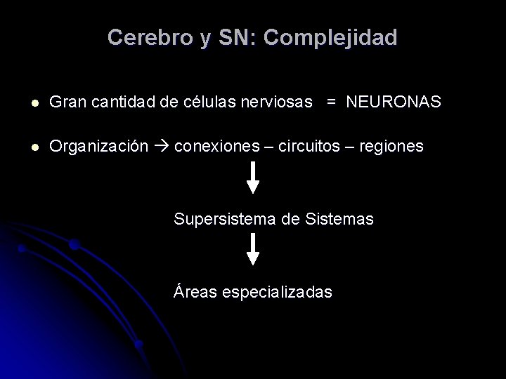 Cerebro y SN: Complejidad l Gran cantidad de células nerviosas = NEURONAS l Organización
