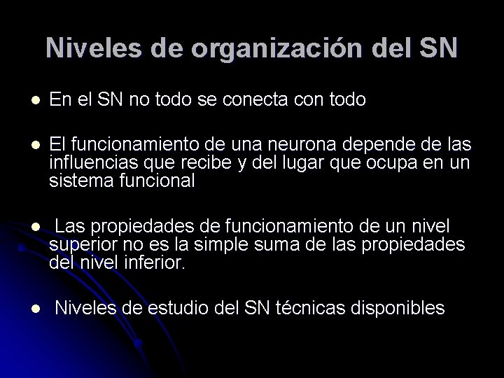 Niveles de organización del SN l En el SN no todo se conecta con