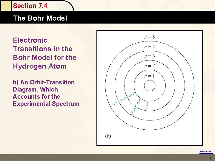 Section 7. 4 The Bohr Model Electronic Transitions in the Bohr Model for the