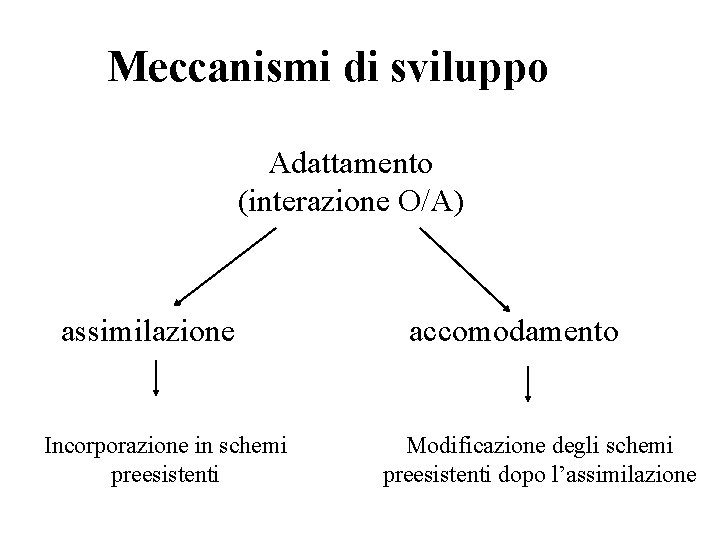 Meccanismi di sviluppo Adattamento (interazione O/A) assimilazione Incorporazione in schemi preesistenti accomodamento Modificazione degli