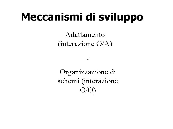 Meccanismi di sviluppo Adattamento (interazione O/A) Organizzazione di schemi (interazione O/O) 