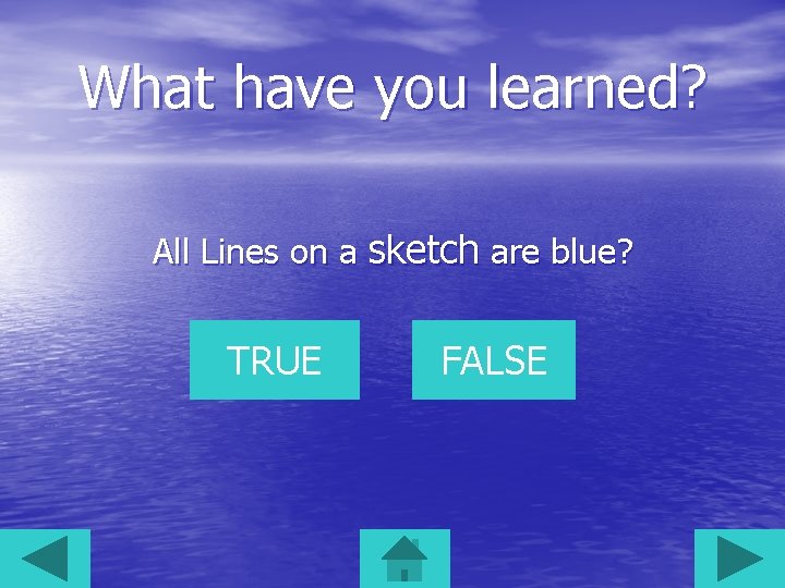 What have you learned? All Lines on a sketch are blue? TRUE FALSE 