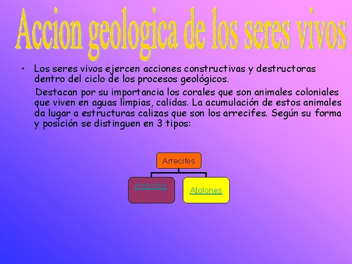  • Los seres vivos ejercen acciones constructivas y destructoras dentro del ciclo de