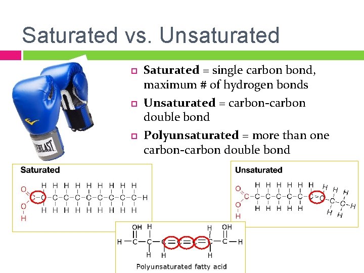 Saturated vs. Unsaturated Saturated = single carbon bond, maximum # of hydrogen bonds Unsaturated
