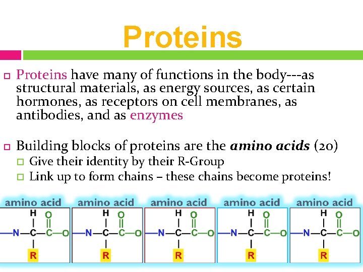 Proteins have many of functions in the body---as structural materials, as energy sources, as