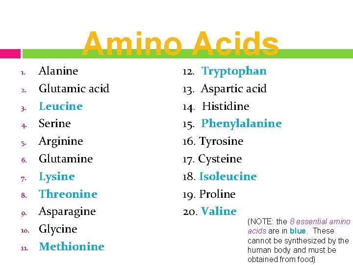 Amino Acids 1. 2. 3. 4. 5. 6. 7. 8. 9. 10. 11. Alanine