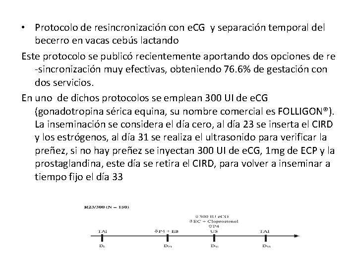 • Protocolo de resincronización con e. CG y separación temporal del becerro en • Protocolo de resincronización con e. CG y separación temporal del becerro en
