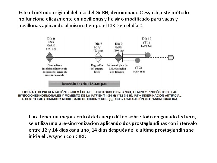 Este el método original del uso del Gn. RH, denominado Ovsynch, este método no Este el método original del uso del Gn. RH, denominado Ovsynch, este método no