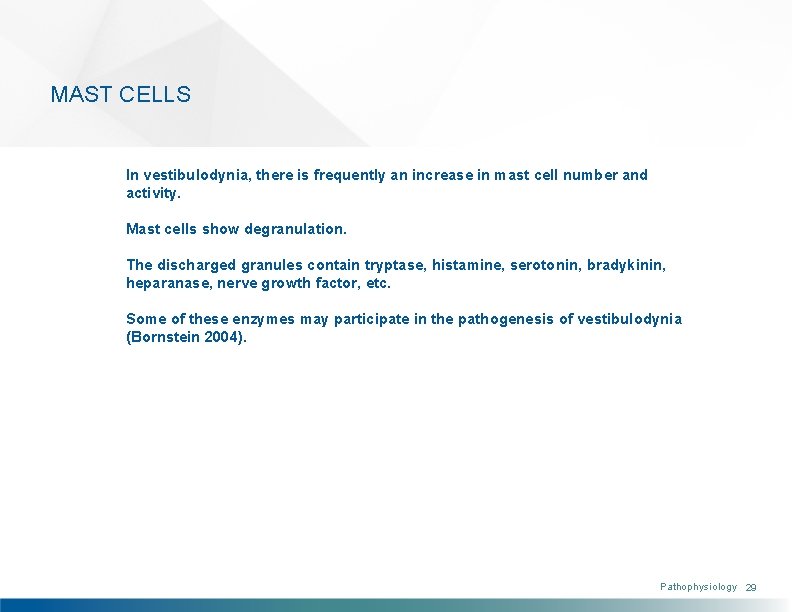 MAST CELLS In vestibulodynia, there is frequently an increase in mast cell number and