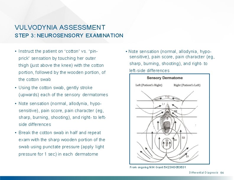 VULVODYNIA ASSESSMENT STEP 3: NEUROSENSORY EXAMINATION • Instruct the patient on ‘cotton’ vs. ‘pinprick’