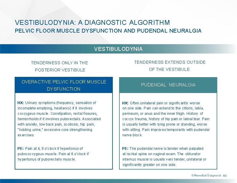 VESTIBULODYNIA: A DIAGNOSTIC ALGORITHM PELVIC FLOOR MUSCLE DYSFUNCTION AND PUDENDAL NEURALGIA VESTIBULODYNIA TENDERNESS ONLY