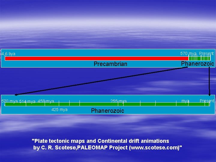 570 mya Present 4. 6 bya Precambrian 570 mya 514 mya 458 mya 425