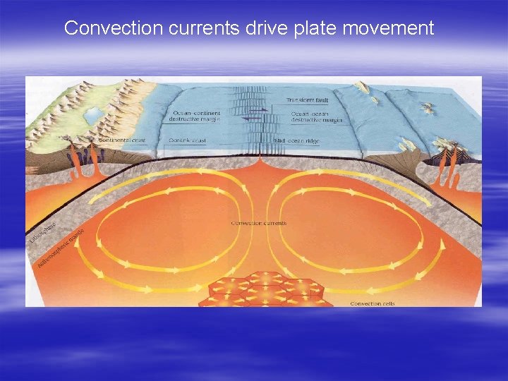 Convection currents drive plate movement 