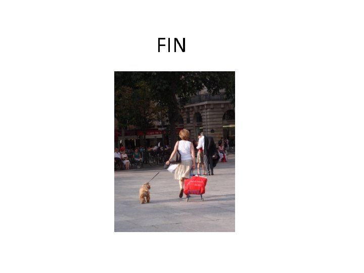 FIN 