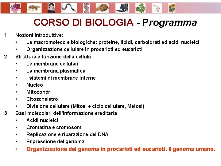 CORSO DI BIOLOGIA - Programma 1. 2. 3. Nozioni introduttive: • Le macromolecole biologiche: