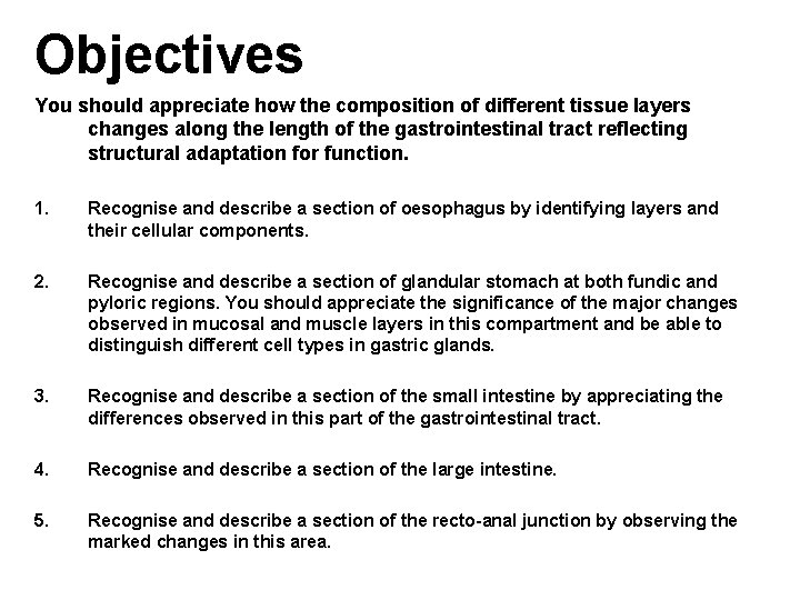 Objectives You should appreciate how the composition of different tissue layers changes along the