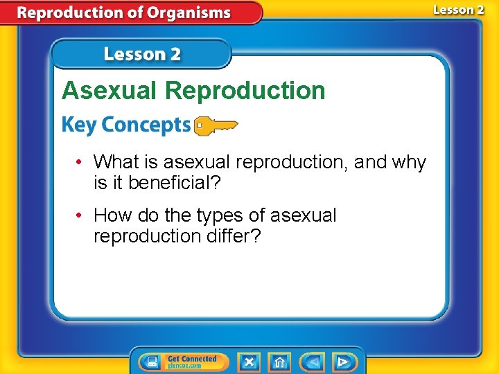 Asexual Reproduction • What is asexual reproduction, and why is it beneficial? • How