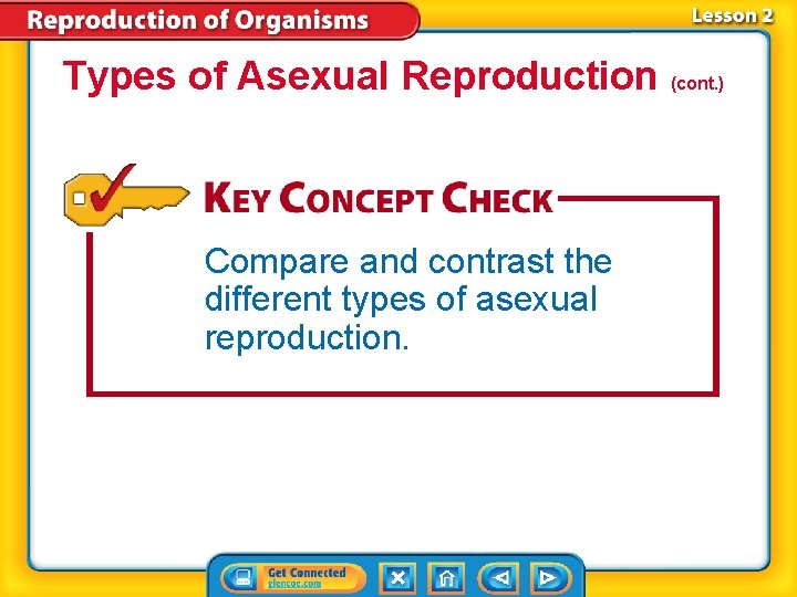 Types of Asexual Reproduction (cont. ) Compare and contrast the different types of asexual
