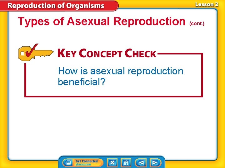 Types of Asexual Reproduction (cont. ) How is asexual reproduction beneficial? 