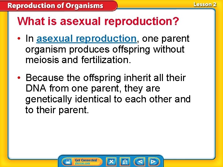 What is asexual reproduction? • In asexual reproduction, one parent organism produces offspring without