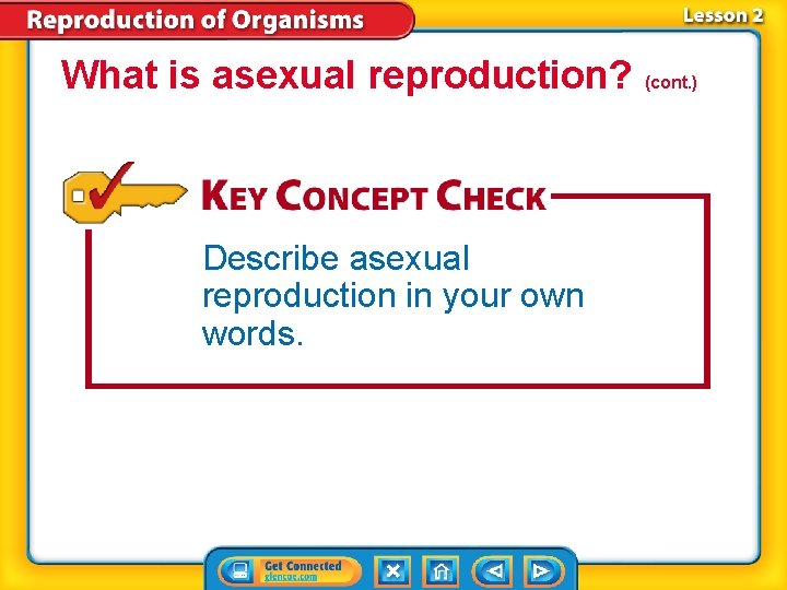 What is asexual reproduction? (cont. ) Describe asexual reproduction in your own words. 