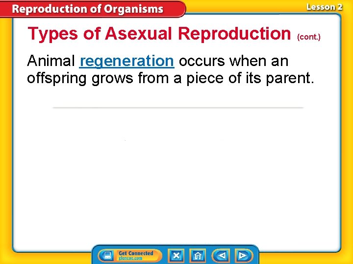 Types of Asexual Reproduction (cont. ) Animal regeneration occurs when an offspring grows from Types of Asexual Reproduction (cont. ) Animal regeneration occurs when an offspring grows from