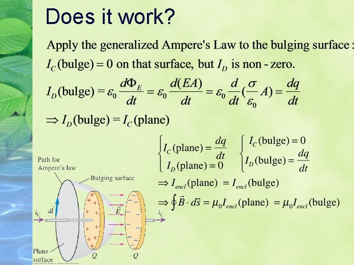 Does it work? Does it work?