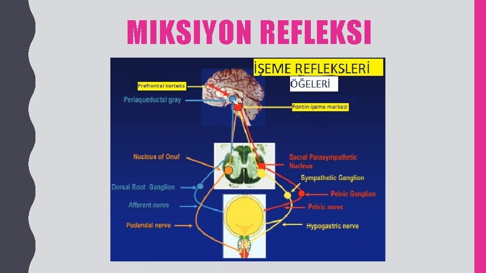 MIKSIYON REFLEKSI 