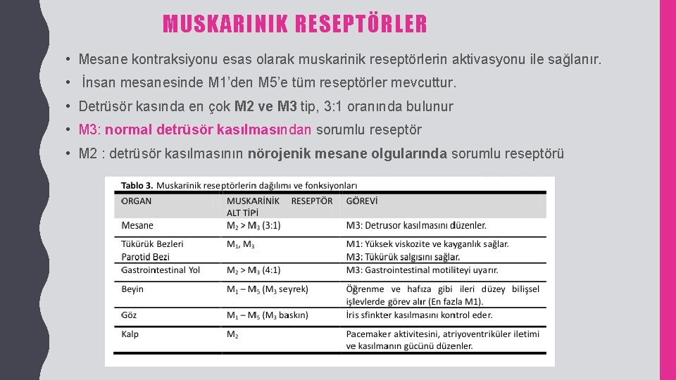 MUSKARINIK RESEPTÖRLER • Mesane kontraksiyonu esas olarak muskarinik reseptörlerin aktivasyonu ile sağlanır. • İnsan