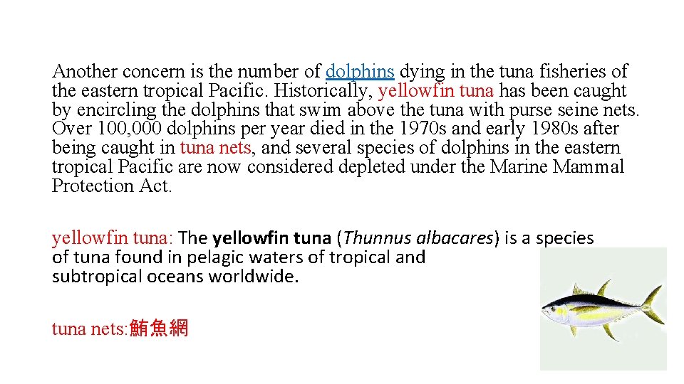 Another concern is the number of dolphins dying in the tuna fisheries of the Another concern is the number of dolphins dying in the tuna fisheries of the
