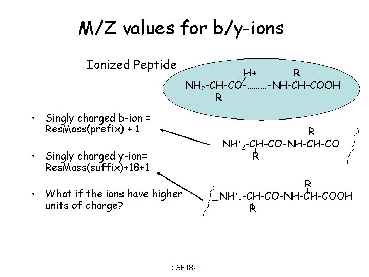 M/Z values for b/y-ions Ionized Peptide H+ R NH 2 -CH-CO-………-NH-CH-COOH R • Singly