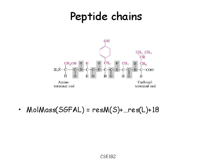 Peptide chains • Mol. Mass(SGFAL) = res. M(S)+…res(L)+18 CSE 182 