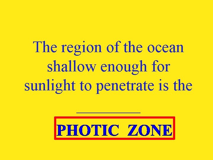 The region of the ocean shallow enough for sunlight to penetrate is the ____