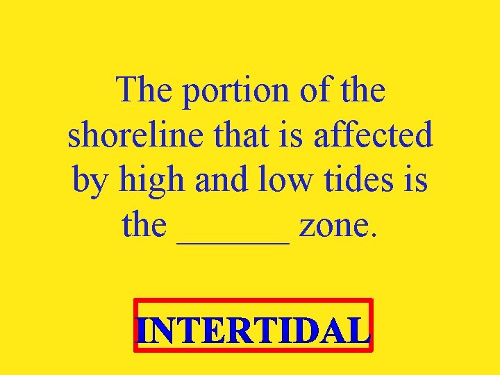 The portion of the shoreline that is affected by high and low tides is