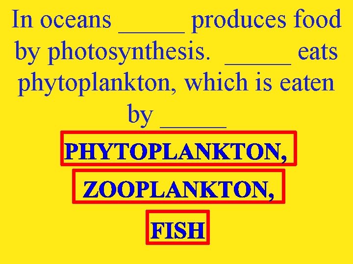 In oceans _____ produces food by photosynthesis. _____ eats phytoplankton, which is eaten by