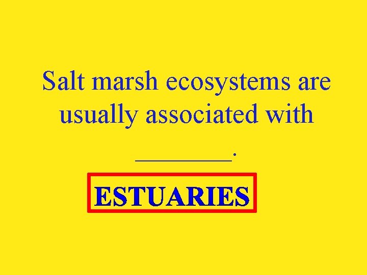 Salt marsh ecosystems are usually associated with _______. 