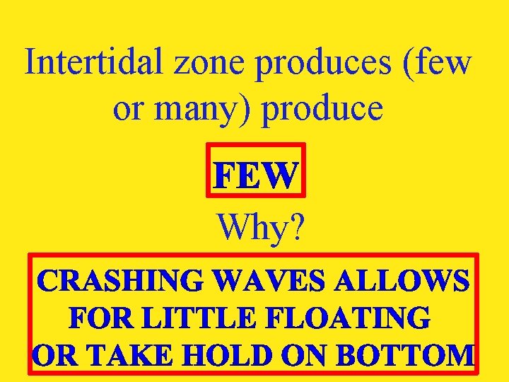 Intertidal zone produces (few or many) produce Why? 