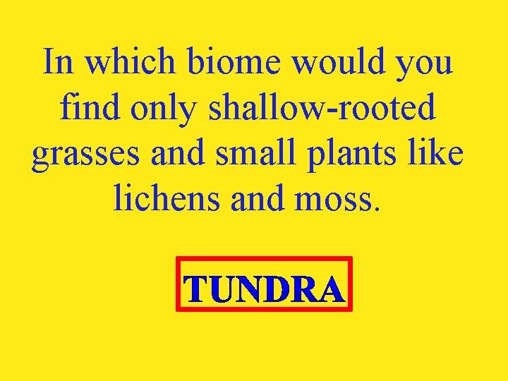 In which biome would you find only shallow-rooted grasses and small plants like lichens