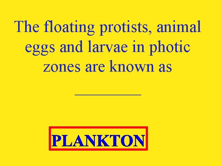 The floating protists, animal eggs and larvae in photic zones are known as ____