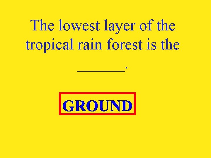 The lowest layer of the tropical rain forest is the ______. 