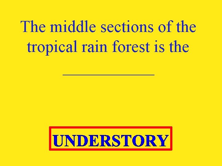 The middle sections of the tropical rain forest is the ______ 