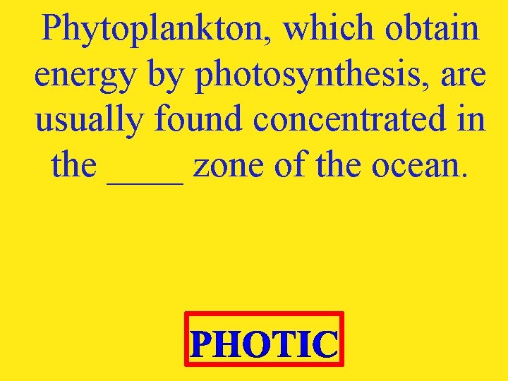 Phytoplankton, which obtain energy by photosynthesis, are usually found concentrated in the ____ zone