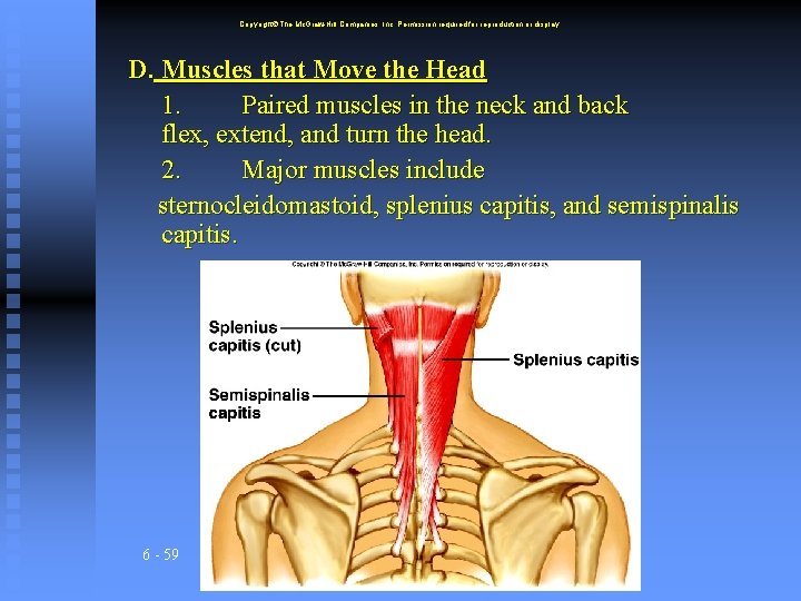 Copyright The Mc. Graw-Hill Companies, Inc. Permission required for reproduction or display. D. Muscles