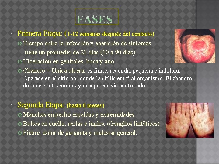  Primera Etapa: (1 -12 semanas después del contacto) Tiempo entre la infección y