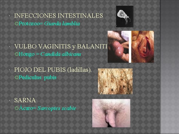  INFECCIONES INTESTINALES Protozoo= Giarda VULBO VAGINITIS y BALANITIS Hongo = Candida lamblia albicans