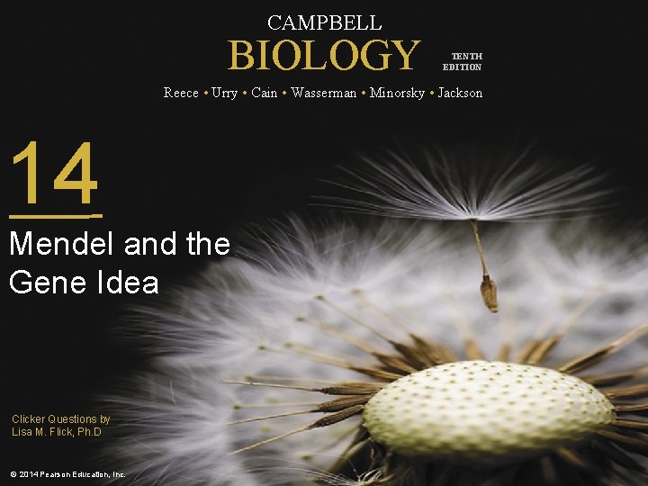 CAMPBELL BIOLOGY TENTH EDITION Reece • Urry • Cain • Wasserman • Minorsky •
