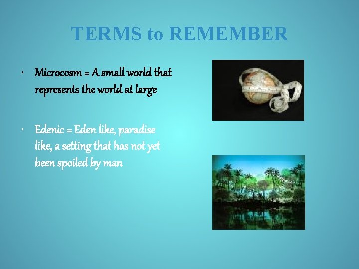 TERMS to REMEMBER • Microcosm = A small world that represents the world at