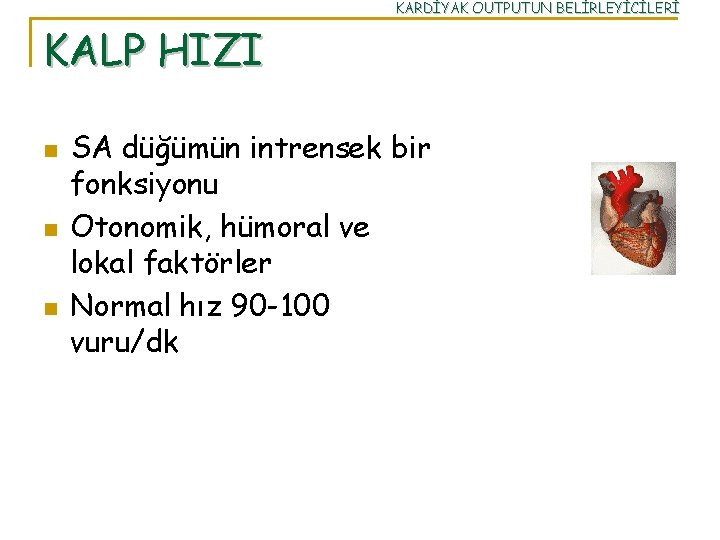 KARDİYAK OUTPUTUN BELİRLEYİCİLERİ KALP HIZI n n n SA düğümün intrensek bir fonksiyonu Otonomik,