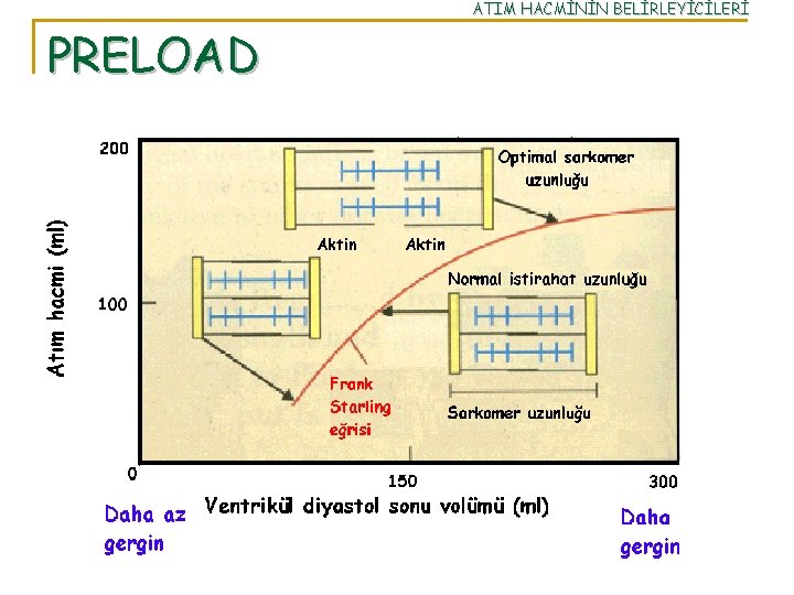 ATIM HACMİNİN BELİRLEYİCİLERİ PRELOAD 