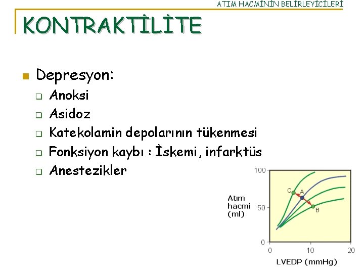 ATIM HACMİNİN BELİRLEYİCİLERİ KONTRAKTİLİTE n Depresyon: q q q Anoksi Asidoz Katekolamin depolarının tükenmesi